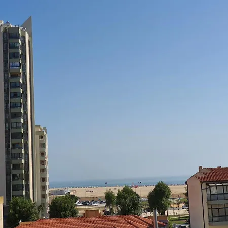 Figueira Buarcos